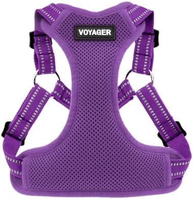 Voyager Step-in Flex Adjustable Dog Harness - Purple, Large