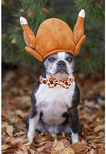 Lionheart Glory Turkey Dog Bow Collar - Bowtie Pet Gift for Girl or Boy Small Dog