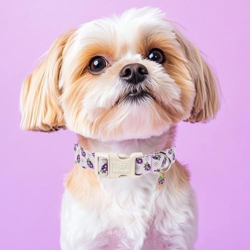 Summer Dog Collar Cute Grape Dog Collars for Medium Dogs - Lightweight Adjustable Purple Puppy Collar Boy Girl Fall Dog Collar with Quick Release Buckle M