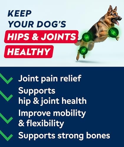Advanced Glucosamine for Dogs, Chondroitin & MSM Hip Joint Supplement Chews