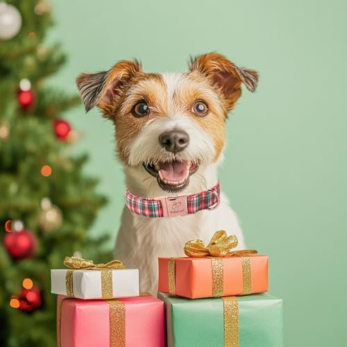 Christmas Plaid Dog Collar for Puppy Small Dogs - Green & Rose Tartan Christmas Collars for Dogs, Sweet Festive Winter Heavy-Duty Adjustable Dog Collars with Metal Buckle XS