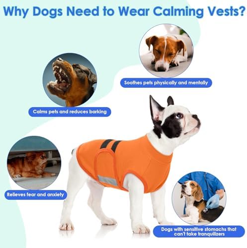 MIGOHI Dog Anxiety Relief Coat,M, Orange