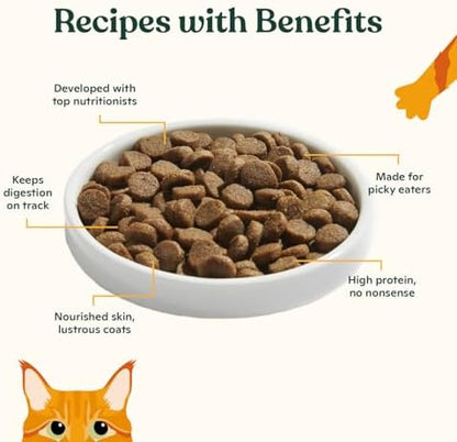 Made by Nacho Dry Cat Kibble 11lb Bag, High Protein and Grain-Friendly Premium Cat Food, Sustainably Caught Salmon and Pumpkin, Infused with Bone Broth for Hydration, Limited Ingredients, Single Bag