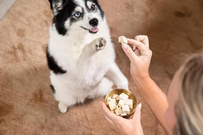 HOLI Freeze Dried Chicken Breast Dog Treats. Single Ingredient Freeze Dried Chicken Treats for Dogs. Healthy All Natural Dog Snack Made from 100% Breast Meat. High Value Training Treat. 7 oz