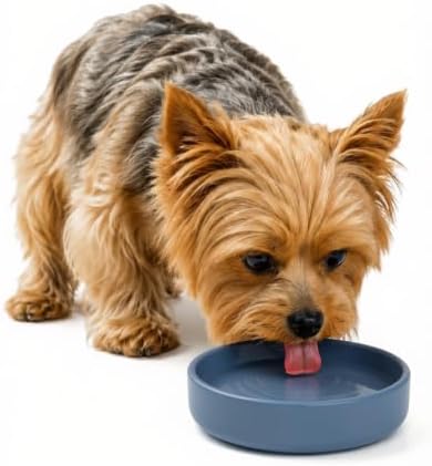 The Perfect Dish - Silicone Dog Bowl for Food & Water, 6" x 1.25"-Ocean