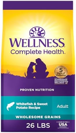 Wellness Complete Health Adult Dry Dog Food, Wholesome Grain Kibble, Natural, Chicken Free, Whitefish and Sweet Potato Recipe, 26 lb Bag