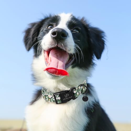 Summer Dog Collar, Flower Print Dog Collar with Adjustable Plastic Buckle, Lightweight Cute Pet Collar, Ideal Gift for Boy Girl Dogs