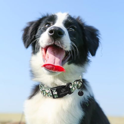 Summer Dog Collar, Flower Print Dog Collar with Adjustable Plastic Buckle, Lightweight Cute Pet Collar, Ideal Gift for Boy Girl Dogs