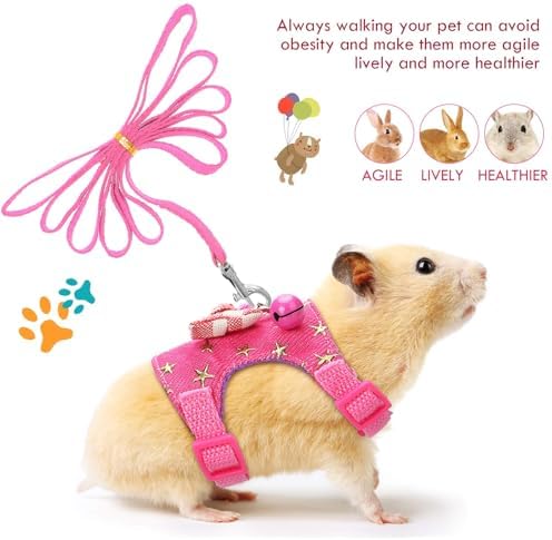 SATINIOR 2 Pieces Small Hamster Harness and Leash Set,S,Blue, Pink