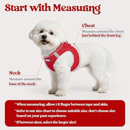 rabbitgoo Dog Harness Medium Sized and Leash Set, Step-in Puppy Pet Vest