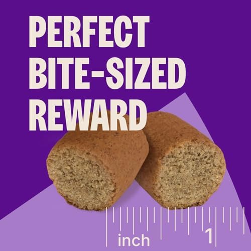Wellness CORE Healthy Joints Soft Dog Treats, Natural, Grain Free, Beef Recipe, 9 oz Bag