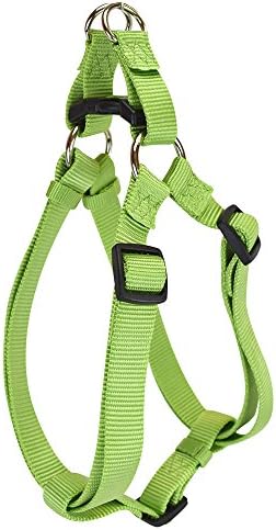 Hamilton Adjustable Nylon Step-in Dog Harness, SM 5/8" x 12-20", Lime Green