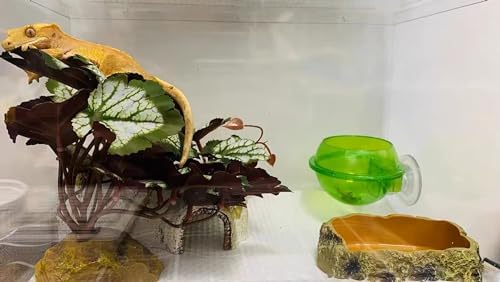 Woyrise Artificial Reptile Plants for Terrarium, Habitat Decor, Fake Plant