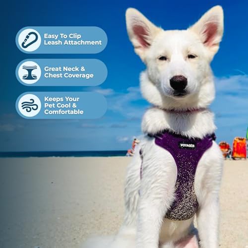 Voyager Step-in Flex Adjustable Dog Harness - Purple, X-Large