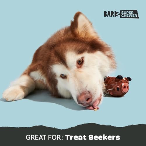 BARK Wild Borris Super Chewer Dog Toy Small