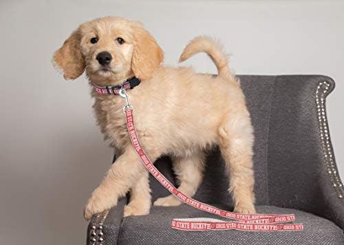 Pets First Collegiate Pet Accessories, Dog Leash, Ohio State Buckeyes, Small