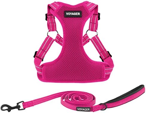 Best Pet Supplies Voyager Adjustable Step-in Flex Breathable Mesh Dog Harness for Small Medium Large Dogs Leash Set (Fuchsia), S