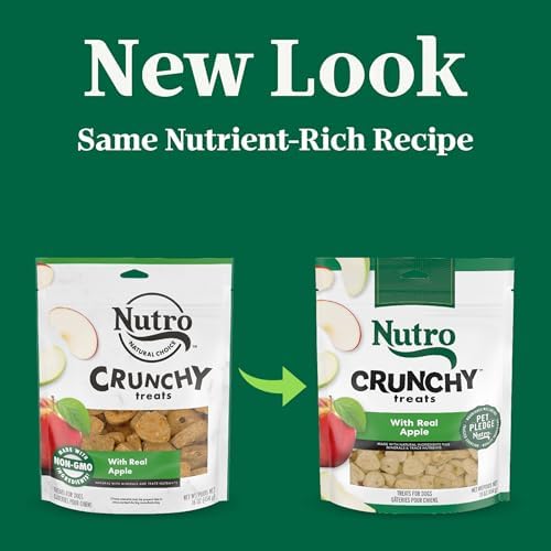 Nutro Crunchy Dog Treats with Real Apple, 16 oz