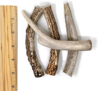 Buck Bone Organics Deer Antler Dog Bones, Premium Grade A - Natural Dog Treat, Made in Montana (Medium)