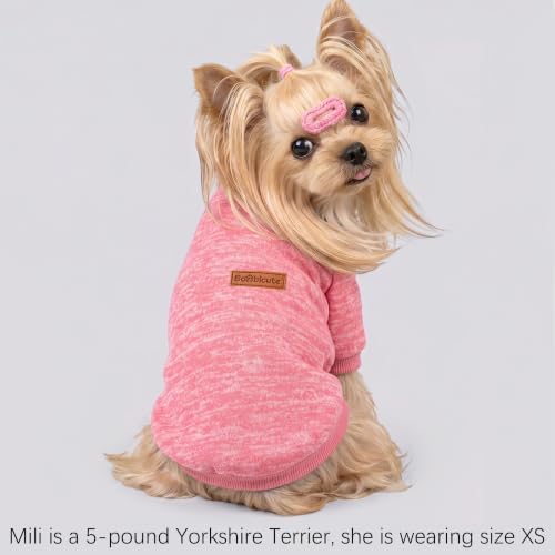 1 Pack Dog Sweaters for Small Dogs Girl Boy Winter Fleece Clothes Warm Soft Dog Sweatshirt Outfit for Dogs Cats Pet Apparel