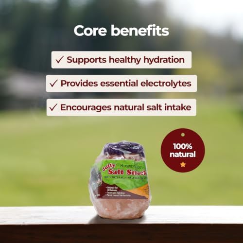 Horsemen's Pride Himalayan Salt Block on Rope for Horses, 2.2 Pounds, SS22