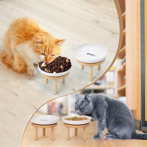 Elevated Cat Bowls with Bamboo Stand, Ceramic Raised Cat Bowl Set of 2, 5.9 Inch Whisker Friendly Anti Vomiting Cat Food Bowls for Dry and Wet Food
