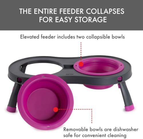 Dexas Pets Elevated Double Pet Feeder, Small, 1 Cup Capacity Bowls, Fuchsia, Raised Pet Food and Water Bowls