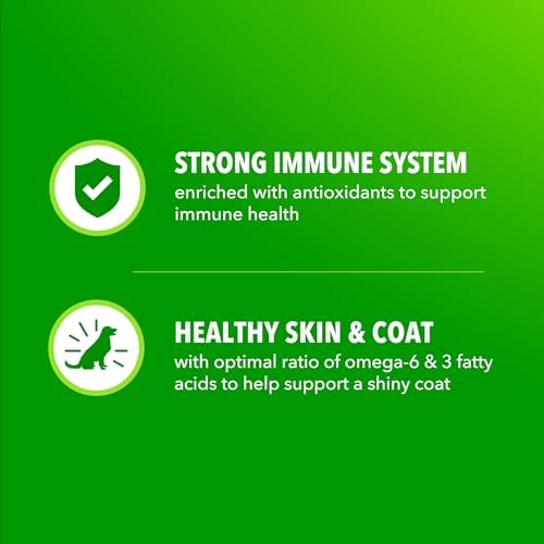 IAMS Proactive Health High Protein Dry Dog Food, Chicken & Beef, 5 lb