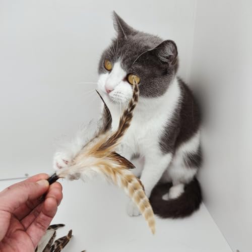 miwoowim 8PCS Natural Unstained Feather Refills for Cat Teaser Wand Toys