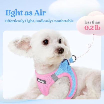 rabbitgoo Dog Harness Medium Sized and Leash Set, Step-in Puppy Pet Vest