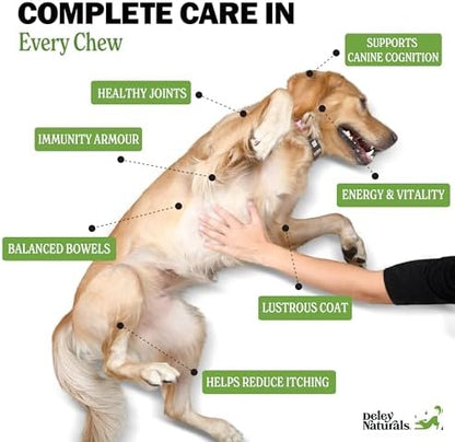 Deley Naturals 15 in 1 Multivitamin for Dogs - Complete Dog Vitamins and Supplements for Immune Support, Joint, Skin, Digestion, Heart & Overall Health - Daily Multifunction Supplements - 120 Chews