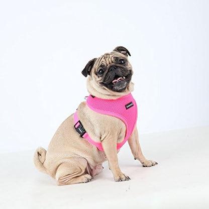 Puppia Neon Dog Harness Over-The-Head No Choke No Pull Walking Training for Small and Medium Dog, Green, Medium