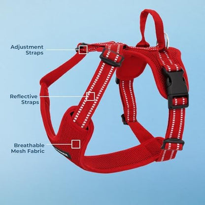 Air Frontier Mesh Dog Harness with Steel Leash D-Ring, Reflective Stitching, and Lightweight Breathable No-Pull Design, Adjustable Neck and Chest Straps for Small to Large Breeds - RDW, XS