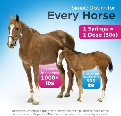 Fast Acting Horse Colic Relief – 15 Minute Natural Gas & Spasmodic Support – Oral Equine Digestive Comfort Syringe – Safe for Pregnant Mares – Essential Barn First Aid