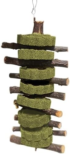 Vila Rabbit Chew Stick, Hanging Treat, Apple Chew Sticks with Round Grass Cakes, Oral Care and Gums, Suitable for Rabbits, Chinchillas, Guinea Pigs and Parrots, 1-Piece