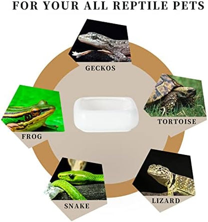 Ceramic Reptile Food Bowls, Reptile Water Food Dish (White, Large-1Pack)