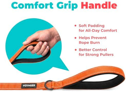 Best Pet Supplies Voyager Nylon Dog Leash - Orange, Medium