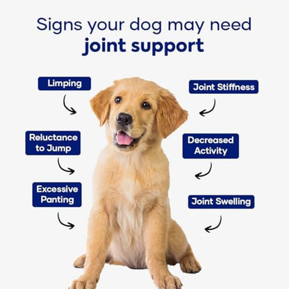 Hip and Joint Supplement for Dogs with Glucosamine Chondroitin MSM and Ashwagandha | Dog Joint Supplement Soft Chews for Mobility and Cartilage Support | for All Dog Breeds