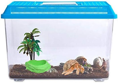 Needzo Hermit Crab Mini Swimming Pool with Palm Tree Decorations, Neon Colored Tank Habitat Accessory for Water, 5 Inches