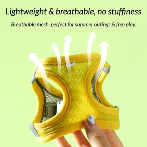 Escape Proof Rabbit Harness and Leash Set Breathable Mesh Vest (Green,M)