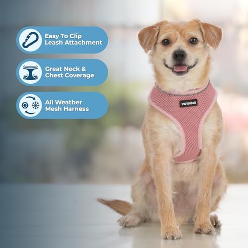 Best Pet Supplies Voyager Aerolite Over the Head Dog Harness, No Pull Breathable Air Mesh Vest, Quick Dry with Reflective Stitching, Adjustable Escape Resistant Harness - Pink, Medium