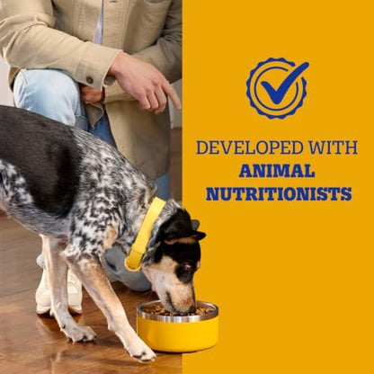 Pedigree Complete Nutrition Dry Dog Food, Chicken & Vegetable, 3.5 lb