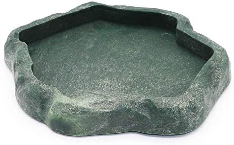 SLSON Small Reptile Feeder Terraium Bowl Plastic Shallow Reptile Feeder for Food and Water Feeding Dish for Lizard Gecko Junior Bearded Dragon,Small Green