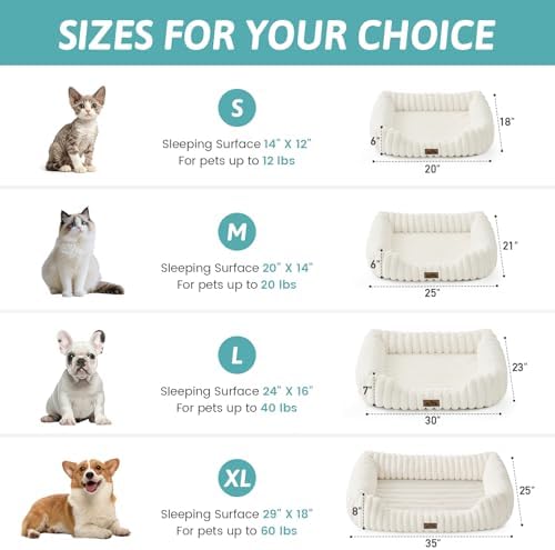 COZY KISS Orthopedic Pet Bed for Small Cats, 20"x18"x6", Cream