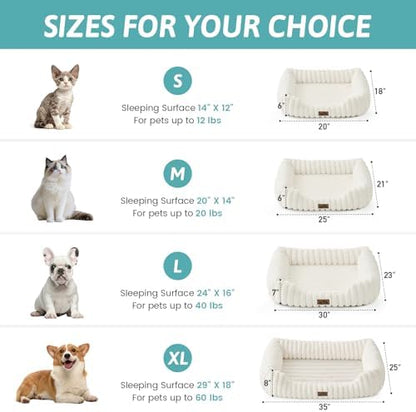 COZY KISS Orthopedic Pet Bed for Small Cats, 20"x18"x6", Cream