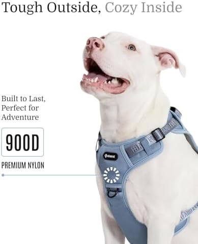Fei & Eve Classic Dog Harness