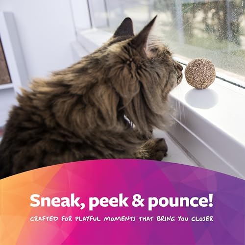SmartyKat Catnip Kiss Compressed Cat Toy Ball, Mess-Free Concentrated Catnip Power for Chase & Pounce Play for Cats & Kittens, One Size