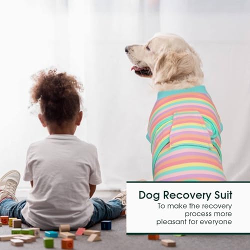 Kuoser Recovery Suit for Dogs Cats, Soft Dog Surgery Suit Female Male Spay