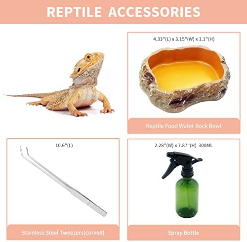 Reptile Growth Mini Reptile Terrarium,12" x 7"x 9" Reptile Tank with Full View Visually Appealing，for Insect，Fish，Tarantula，Hermit crab，Jumping spider，Iguana，Tortoise，Leopard Gecko，Frog，Bearded dragon