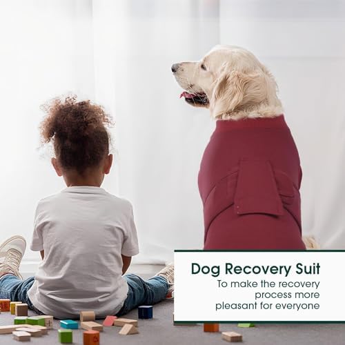 Kuoser Recovery Suit for Dogs Cats, Soft Dog Surgery Suit Female Male Spay